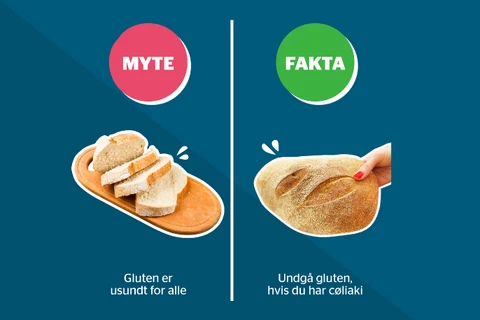 Gluten er usundt for alle = myte. Undgå gluten hvis du har cøliaki = fakta