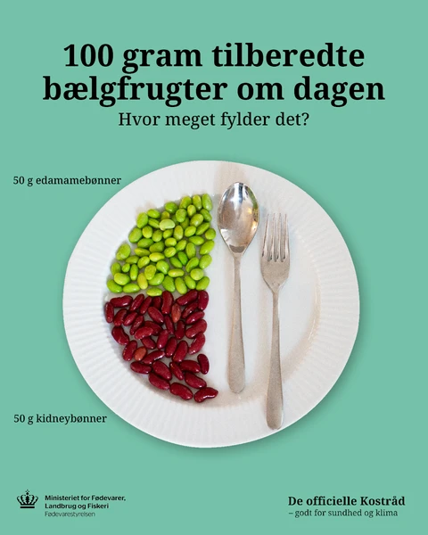 Hvor meget fylder 100 gram tilberedte bælgfrugter om dagen?