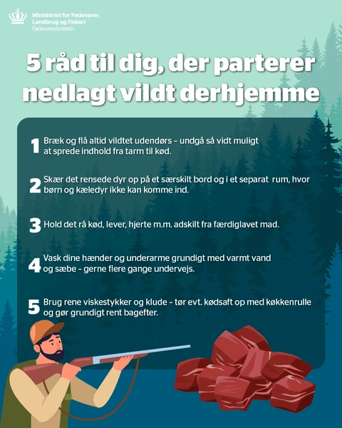 Planche med fem råd til dig der parterer nedlagt vildt derhjemme