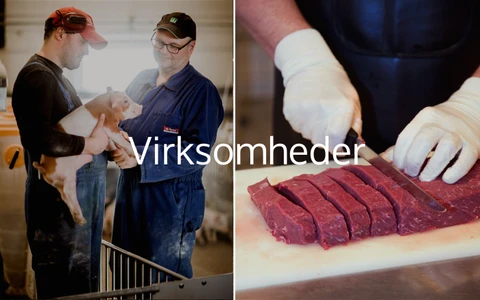 Virksomheder