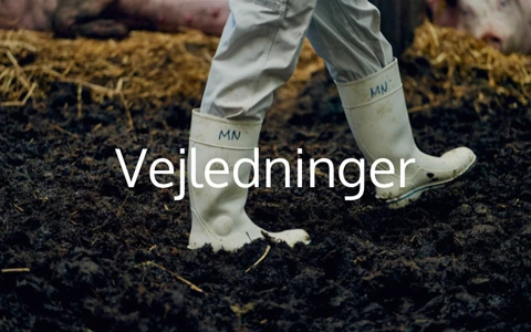 Vejledninger