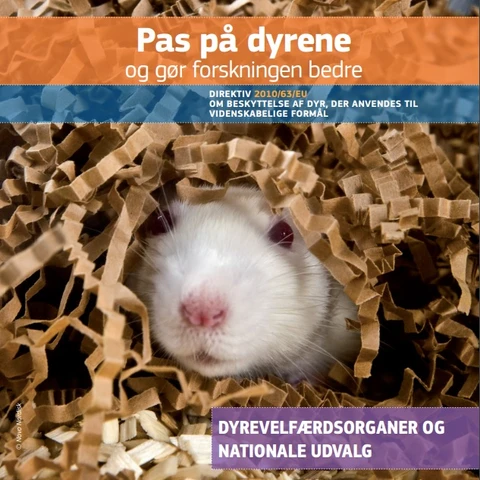 Pas på dyrene