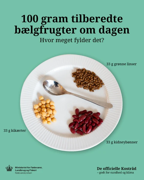 Hvor meget fylder 100 gram tilberedte bælgfrugter om dagen?
