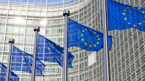 EU flags