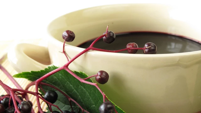 Hyldebærsuppe