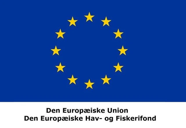 EU-flag