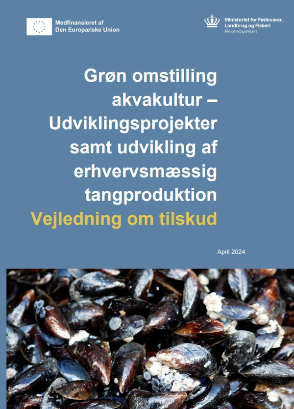Grøn omstilling akvakultur - Udviklingsprojekter samt udvikling af erhvervsmæssig tangproduktion