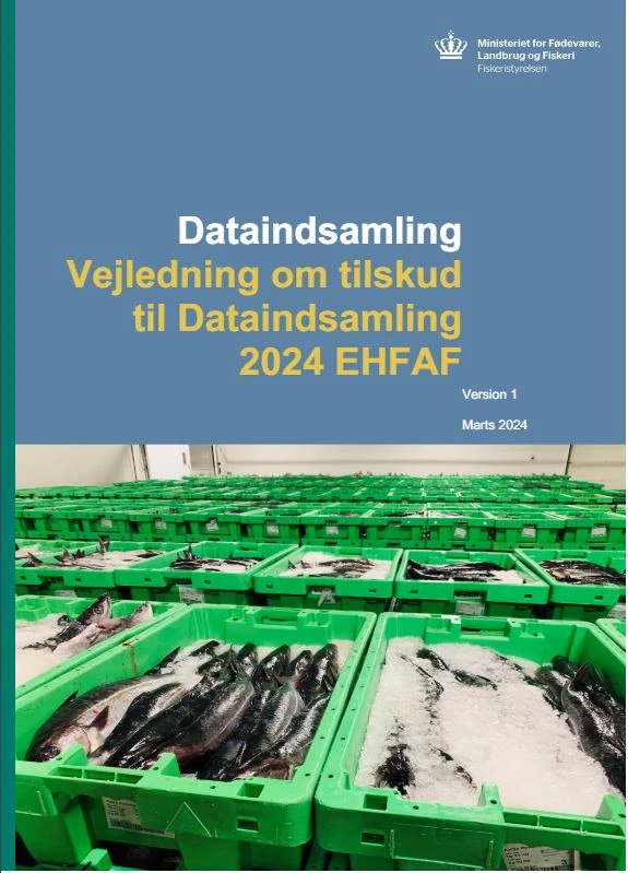 Vejledning om tilskud til Dataindsamling 2024 EHFAF