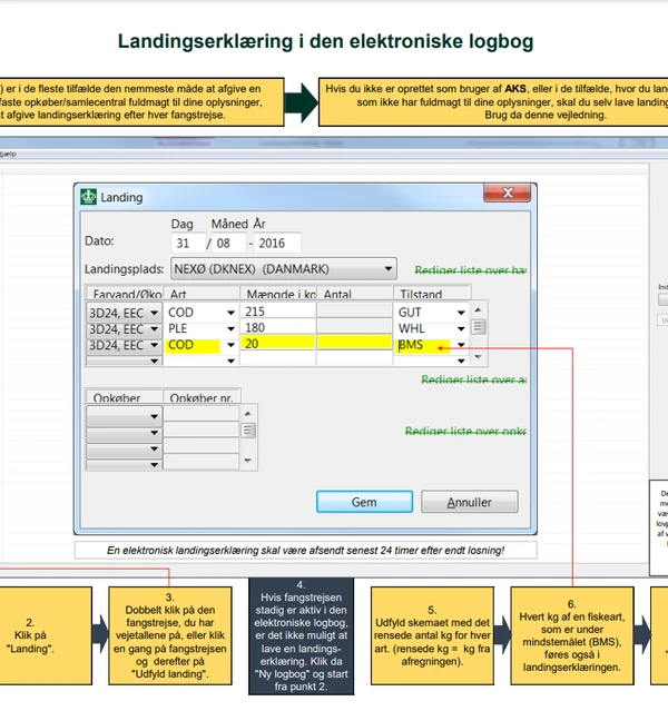 Landingserklæring i den elektroniske logbog
