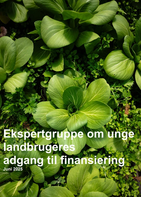 Billedet viser en forside på en rapport fra en ekspertgruppe.
