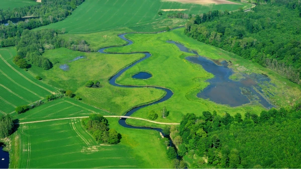 Vådområde