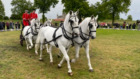 Åben stald, opvisning, 2022