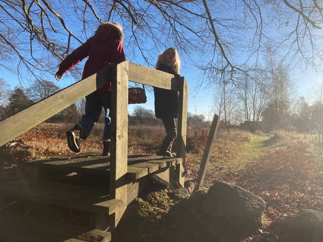 Børn løber ved skov