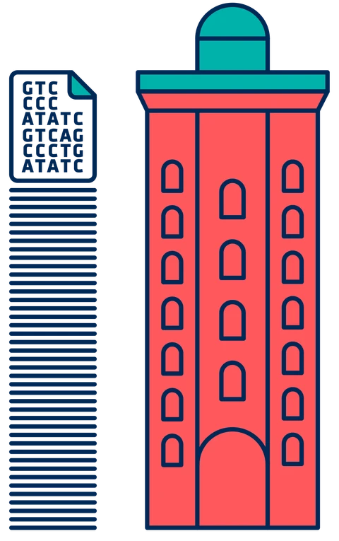 patientdata infografik