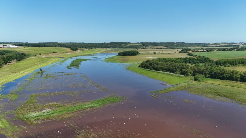 Dronefoto fra Harre Nor. Foto: Skive Kommune