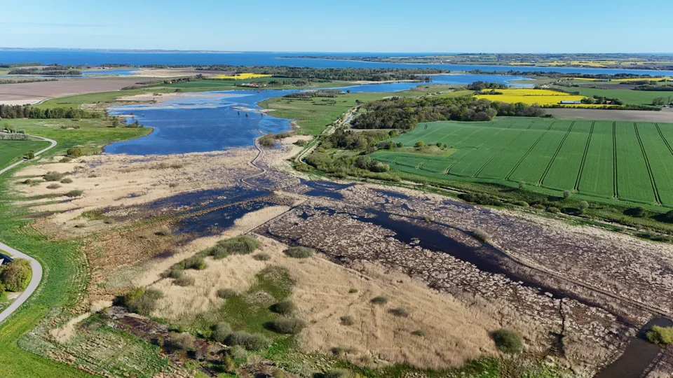 Dronefoto fra Nøreng. Foto: Skive Kommune