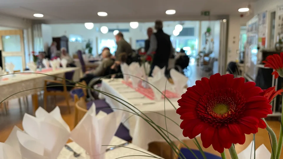 Fyldbillede med blomster. Ingen betydning for indholdet.