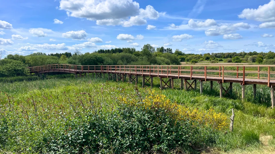 Plankebroen fører til en bro over Koholm Å, og derfra kan man gå langs åen op til Bilstrupparken. Foto: Skive Kommune