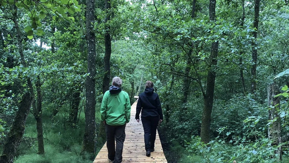 Billedet her er fra Naturpark Sønder Lem Vig. Foto: Skive Kommune