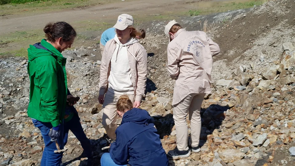 1300 fossiljægere fra nær og fjern har jagtet fossiler i molergraven på Fur denne sommer. Foto: Fur Museum