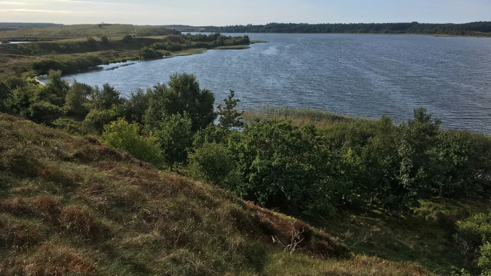 Udsigt over skov og sø. Foto: Skive Kommune