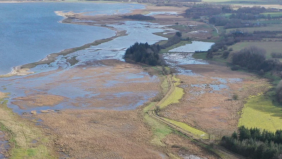 Dronefoto fra Miljøstyrelsen: Natura 2000 området Risum Enge og Selde Vig. (Fotograf: Frits Erik Rost)