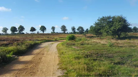 Natursti på heden. Foto: Skive Kommune