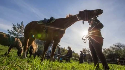 Heste og ryttere. Foto: Skive Kommune