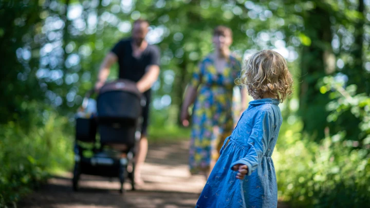 Forældre med 3-årig barn og barnevogn i bøgeskov om sommeren