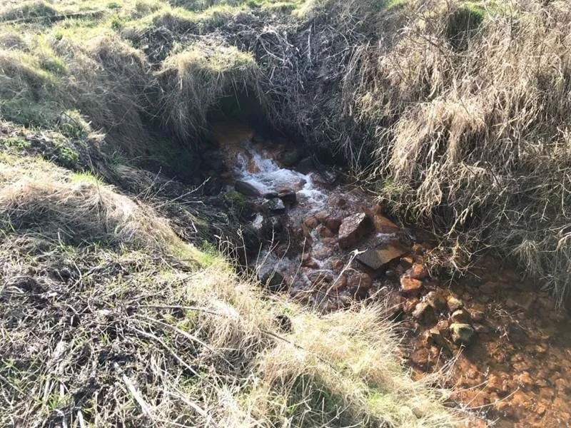 Rørbro i vandløbet gennem Nr. Lem Enge. Foto: Skive Kommune