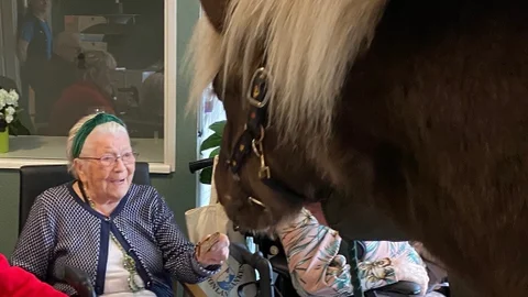 Ældre kvinde aer hest som er kommet med ind på plejecenter.