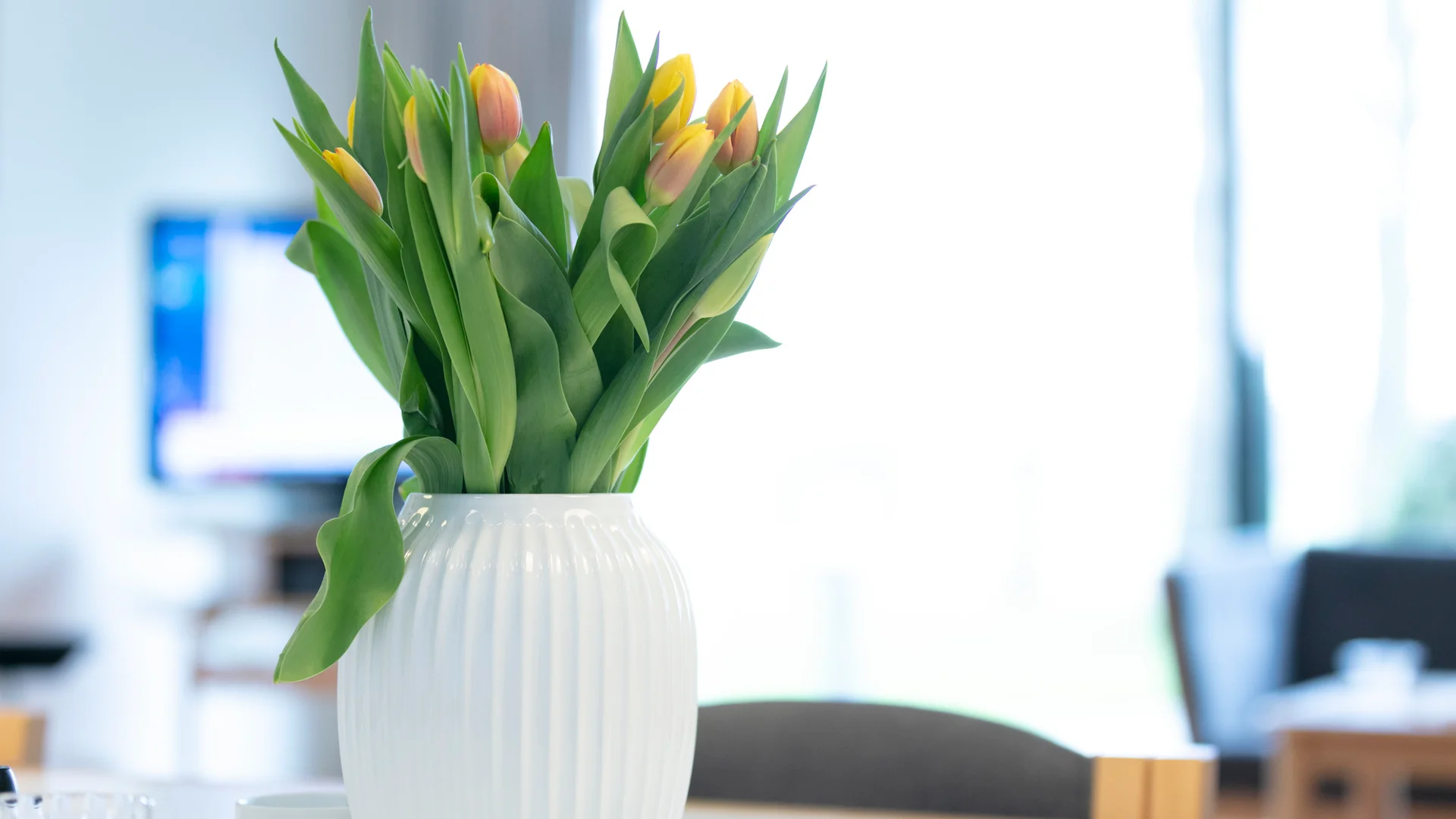 Tulipaner i krukke - fotograf Lotte Stærdal