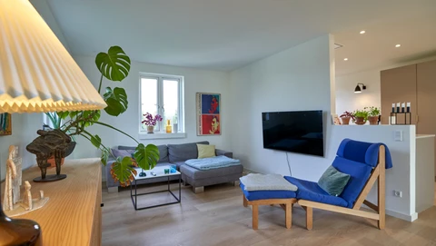efter renovering af statslånshus