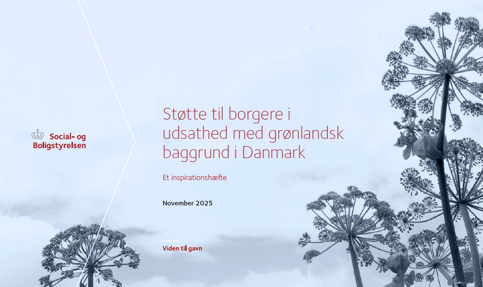 Billede af publikationens forside