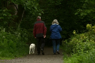 To mennesker i skoven, der går med en hund.