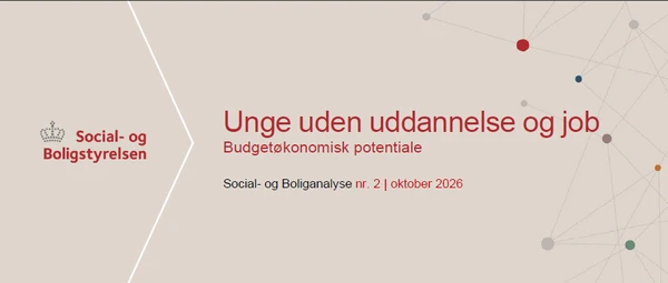 Social- og Boliganalyse - Unge uden uddannelse og job