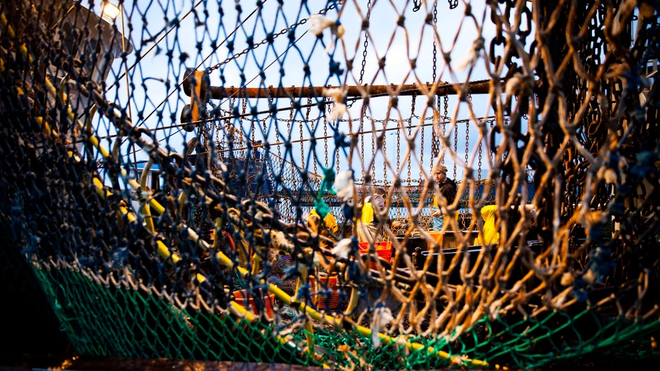 Fiskenet med fiskere på arbejde