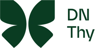 DN Thys logo