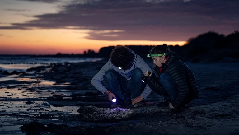 Personer på ravjagt