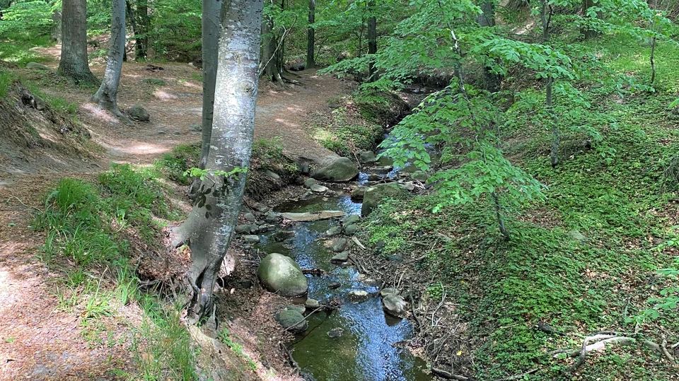 Sti og vandløb i en kløft