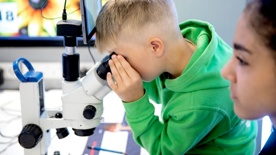 Dreng kigger i mikroskop