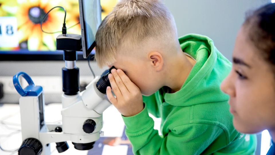 Dreng kigger i mikroskop