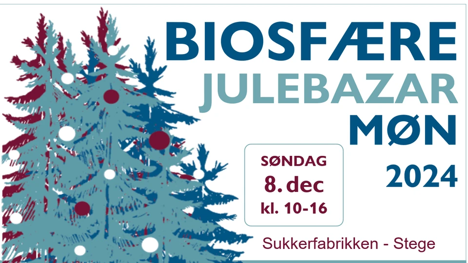 Grafisk illustration med information om biosfære julebazar