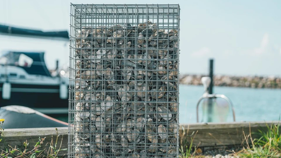 Fiskebørnehave i Klintholm Havn