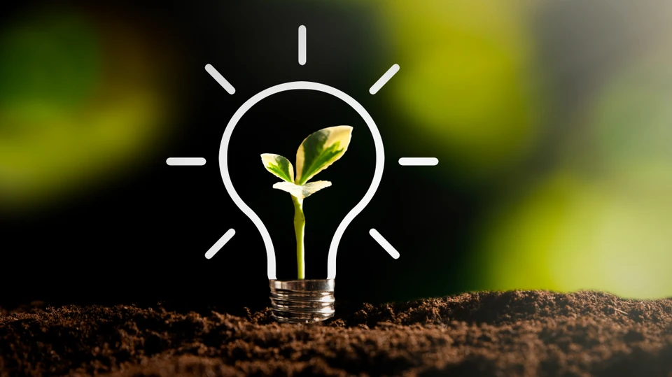 Grafisk illustration af en el-pære og en spirende plante