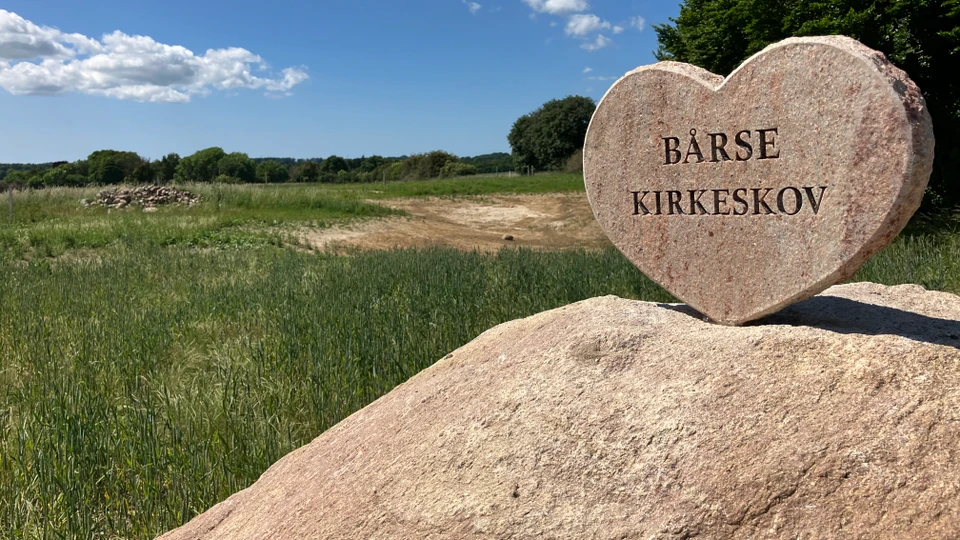 Monument ved Bårse Kirkeskov