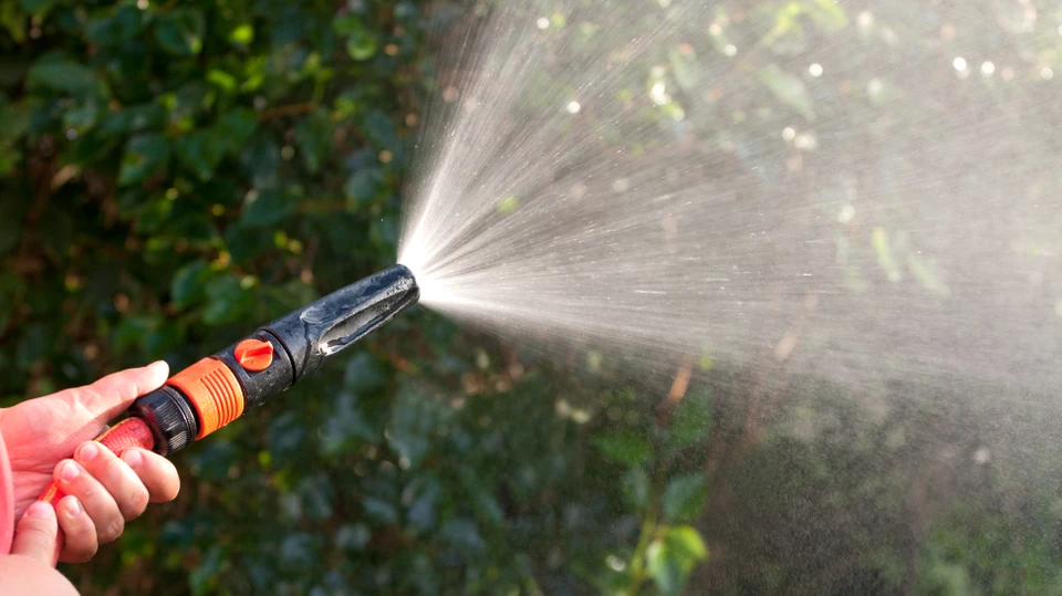 Billede af havevanding med en haveslange
