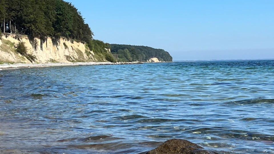 Mads Klint ved Fanefjord Skov på Møn