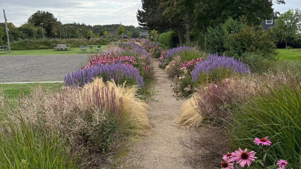 BIllede af bede med blomster