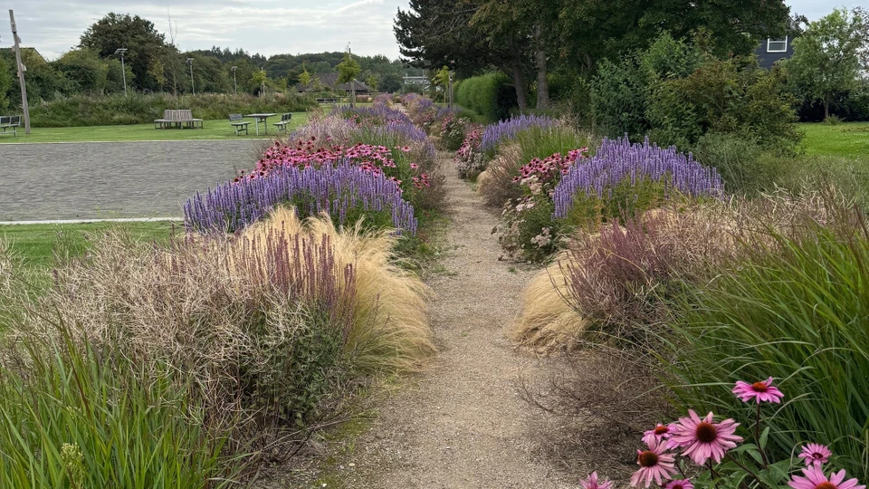 BIllede af bede med blomster